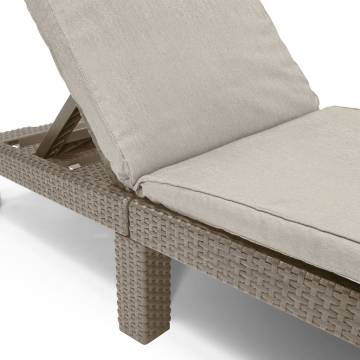 Keter Daytona Cappuccino Sunlounger with Cushion | Hipomarket