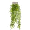 Emerald Artificial Asparagus Plumosus - 80 cm Indoor Plant