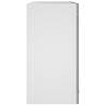 Hanging Glass Cabinet Grey Sonoma | Space-Saving Storage