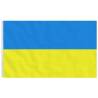 Ukraine Flag & Pole 6.23m Aluminium - Durable & Adjustable