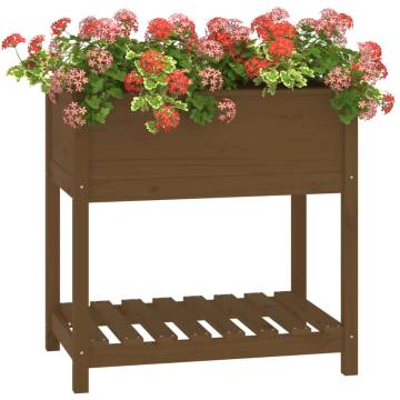 Planter with Shelf - Honey Brown Solid Wood Pine | HiPo Market