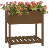 Planter with Shelf - Honey Brown Solid Wood Pine | HiPo Market