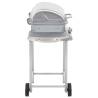 Gas BBQ Grill with 2 Cooking Zones - Silver Stainless Steel