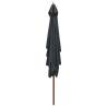 Elegant Outdoor Parasol with Wooden Pole - 200x300 cm Anthracite