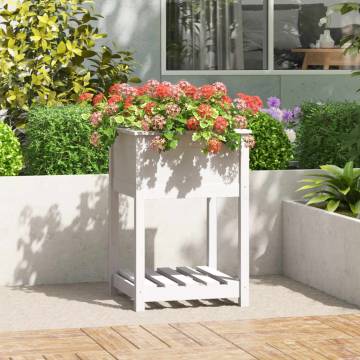 Planter with Shelf White - Solid Pine Wood 54x54x81 cm