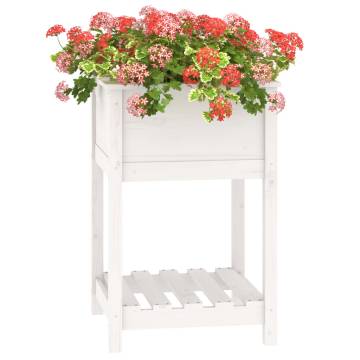 Planter with Shelf White - Solid Pine Wood 54x54x81 cm