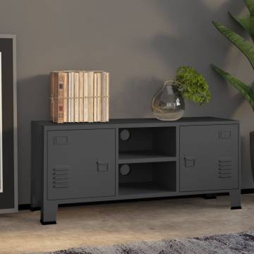 Industrial TV Cabinet Anthracite - Sturdy Metal Design