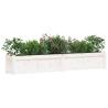 Garden Planter White 180x31x31 cm - Solid Pine Wood