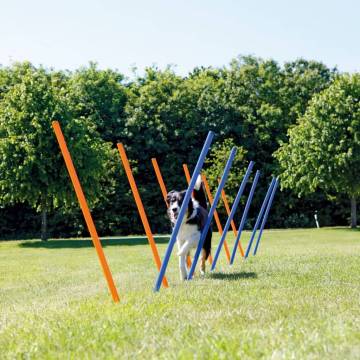 TRIXIE Agility Slalom Poles Set – 12 pcs for Dog Training