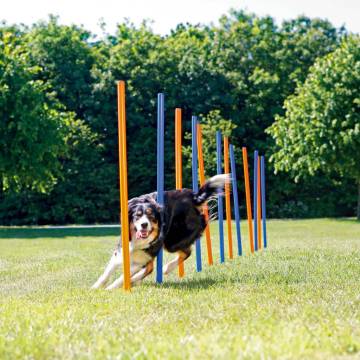 TRIXIE Agility Slalom Poles Set – 12 pcs for Dog Training