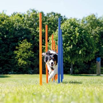 TRIXIE Agility Slalom Poles Set – 12 pcs for Dog Training