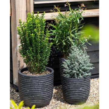 Capi Egg Planter Nature Row 35x34 cm Anthracite | Hipomarket