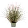 Emerald Pennisetum Grass in Zinc Pot - 58 cm