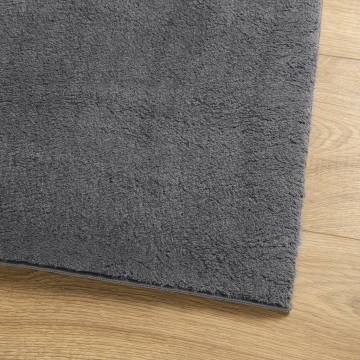 Rug HUARTE Short Pile Soft & Washable Anthracite 120x170 cm