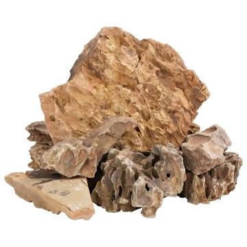 Dragon Stones 10 kg Brown 5-30 cm for Aquariums | Hipo Market