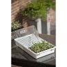 Nature Propagator Set 55x31x22 cm - Grow Your Seeds Right