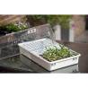 Nature Propagator Set 55x31x22 cm - Grow Your Seeds Right