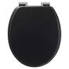 Tiger Soft-Close Toilet Seat Blackwash MDF - Comfort & Quality