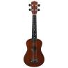 Soprano Ukulele Set for Kids - Dark Wood 23" | Hipo Market