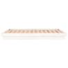 LED Bed Frame White 120x200 cm - Solid Wood & LED Lights