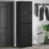 Shoe Cabinet with 4 Flip-Drawers Black 60x42x204 cm Colour black Size 60 x 42 x 204 cm Quantity in Package 1 Number of 