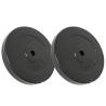 Weight Plates 2 pcs 30 kg Cement - Durable & Versatile