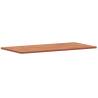 Rectangular Solid Wood Beech Table Top 100x50cm - HipoMarket