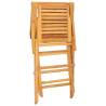 Folding Garden Chairs 2 pcs - Solid Teak Wood | HipoMarket