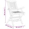 Folding Garden Chairs 2 pcs - Solid Teak Wood | HipoMarket