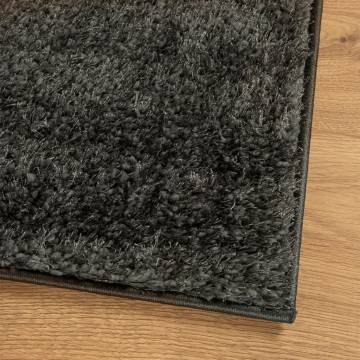 Rug ISTAN High Pile Shiny Look Anthracite 200x280 cm