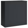 File Cabinet Anthracite | Steel Filing Cabinet 90x40x90 cm