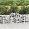 Arched Gabion Baskets 11 pcs 200x50x80/100 cm Galvanised Iron Size 200 x 50 x 80/100 cm Quantity in Package 11 