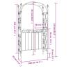 Stylish Black Garden Arch with Gate - 108x45x235 cm