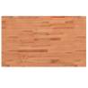 Solid Wood Beech Bathroom Countertop 100x60 cm - Durable & Stylish