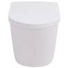 Wall Hung Toilet with Concealed Cistern - Ceramic White