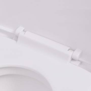 Wall Hung Toilet with Concealed Cistern - Ceramic White