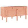 Garden Raised Bed 121x50x57 cm Solid Wood Douglas | HipoMarket