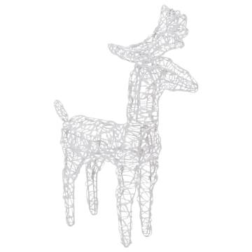 Reindeers & Sleigh Christmas Decoration - 320 LEDs Acrylic