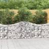 Arched Gabion Baskets 2 pcs 200x30x80/100 cm Galvanised Iron Size 200 x 30 x 80/100 cm Quantity in Package 2 