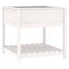 White Planter with Shelf - Solid Pine Wood - 82.5x82.5x81 cm