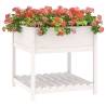 White Planter with Shelf - Solid Pine Wood - 82.5x82.5x81 cm