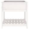 White Planter with Shelf - Solid Pine Wood - 82.5x82.5x81 cm