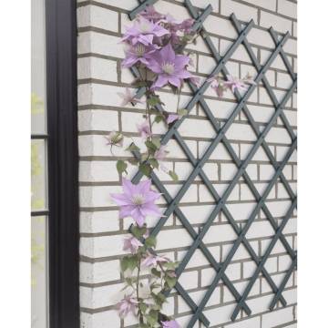 Nature Garden Trellis 50x150 cm PVC Anthracite | Hipo Market