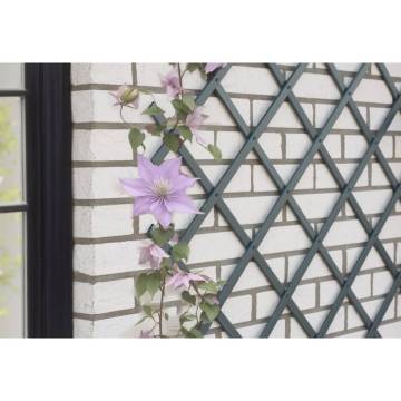 Nature Garden Trellis 50x150 cm PVC Anthracite | Hipo Market