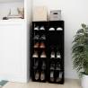 Shoe Cabinets 2 pcs Black - Stylish & Space-Saving Solution