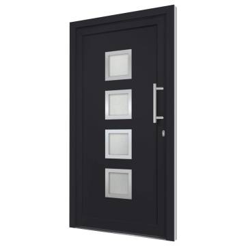 Elegant Anthracite Front Door 108x200 cm | HipoMarket