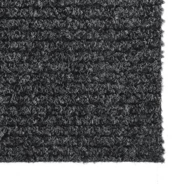 Dirt Trapper Carpet Runner 100x500 cm - Anthracite