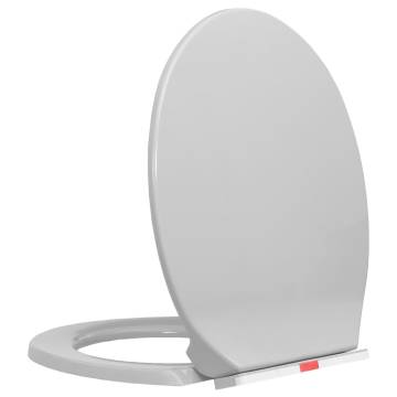 Soft-Close Toilet Seat Quick Release Light Grey - Hipomarket UK