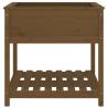 Honey Brown Planter with Shelf - Solid Pine Wood | HipoMarket