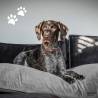 Madison Dog Lounge Velvet - Comfort for Your Pet | HipoMarket